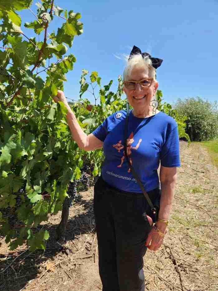A person standing in a vineyard Description automatically generated with medium confidence