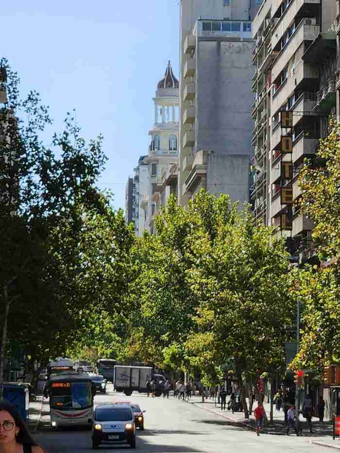 A picture containing outdoor, tree, building, person Description automatically generated
