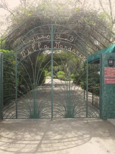 Villa Mandarine. Photo by Sora Vernikoff