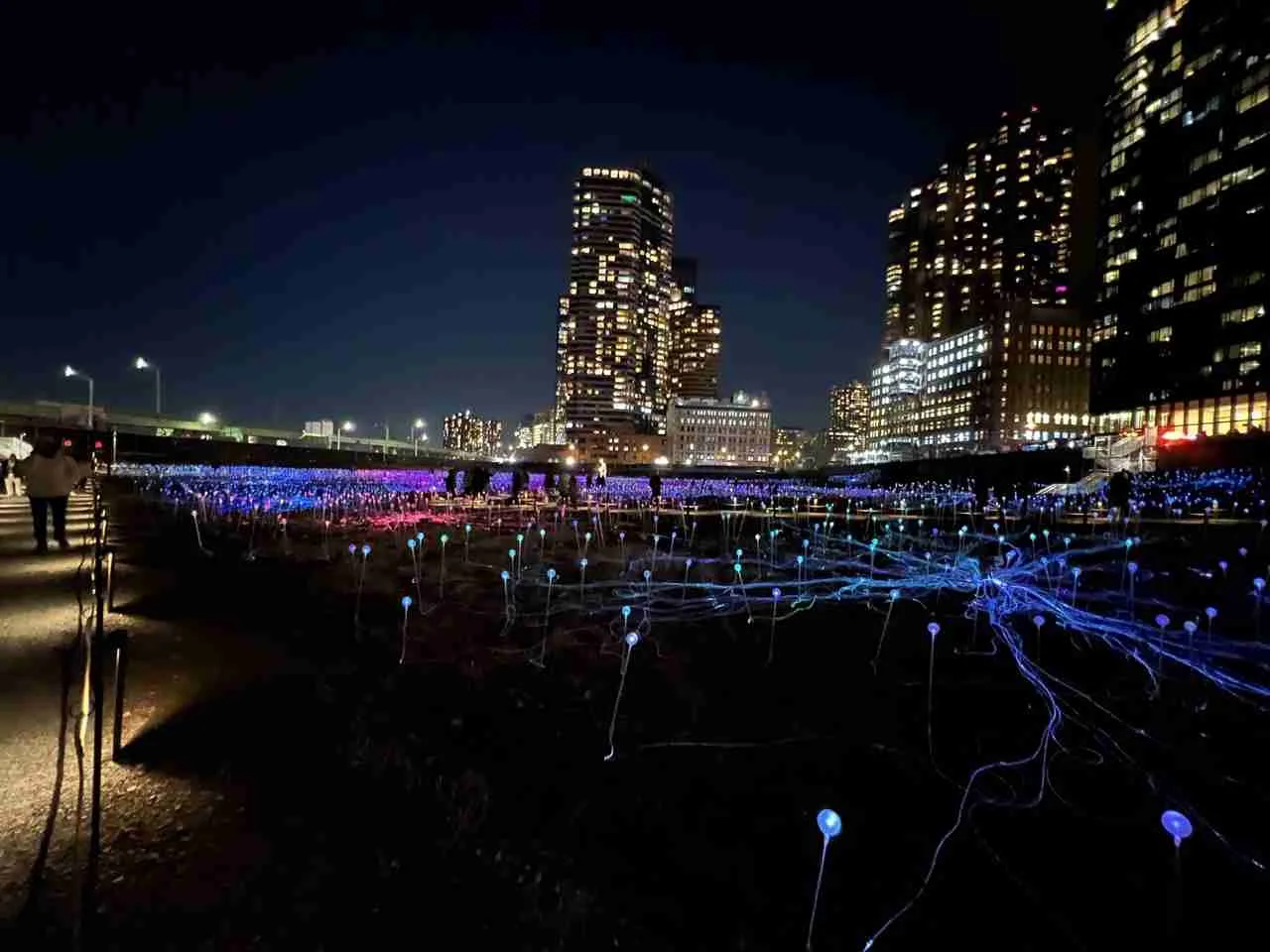 Looking south at Light Field at Freedom Plaza. Photo by Valérie Blanchard
