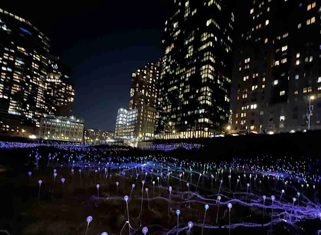 A view of Light Field at Freedom Plaza. Photo by Valérie Blanchard 