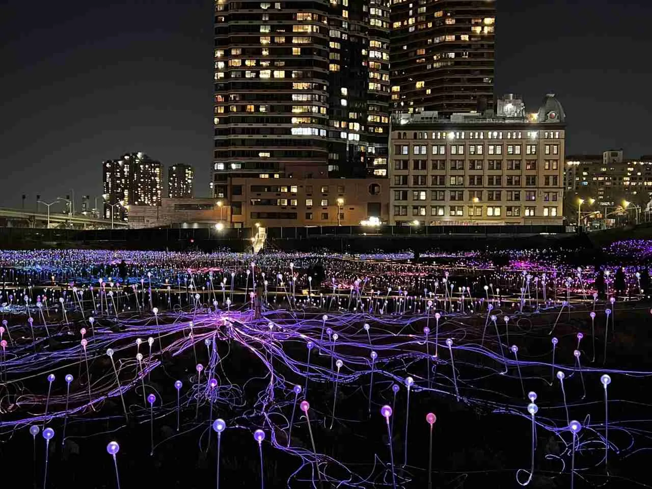 A view of Light Field at Freedom Plaza._2784 Photo by Valérie Blanchard