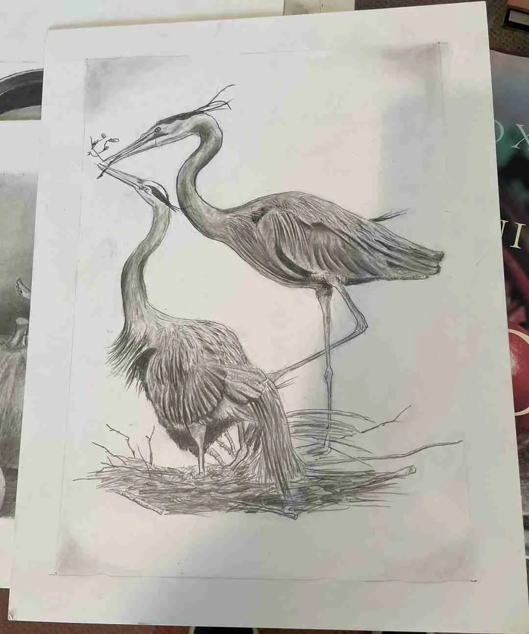 Birds. Pencil art by Dr. Lou Chodosh. Photo by Victoria Dammer