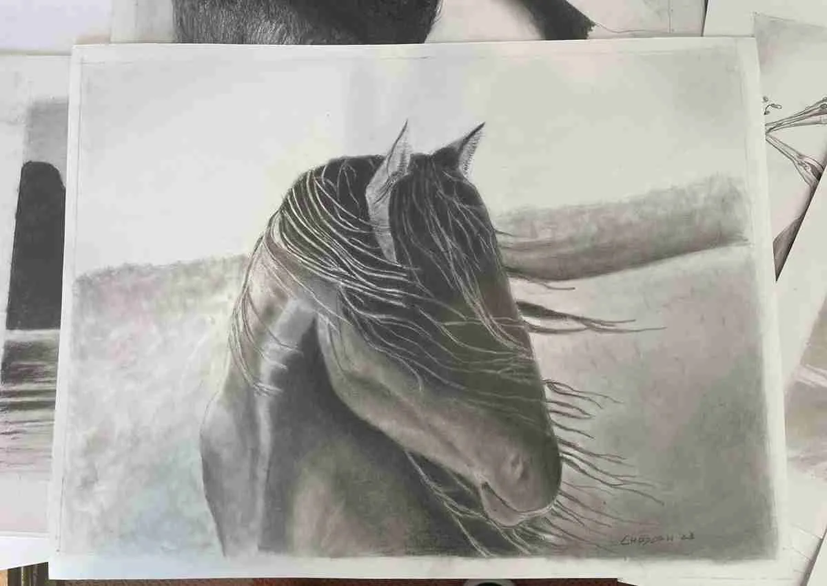 The Horse. Pencil art by Dr. Lou Chodosh. Photo by Victoria Dammer