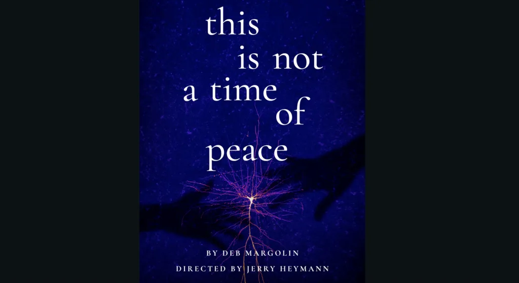 This is Not a Time of Peace by Deb Margolin at Theatre Row, NYC. Courtesy New Light Theater Project Spotlight Series