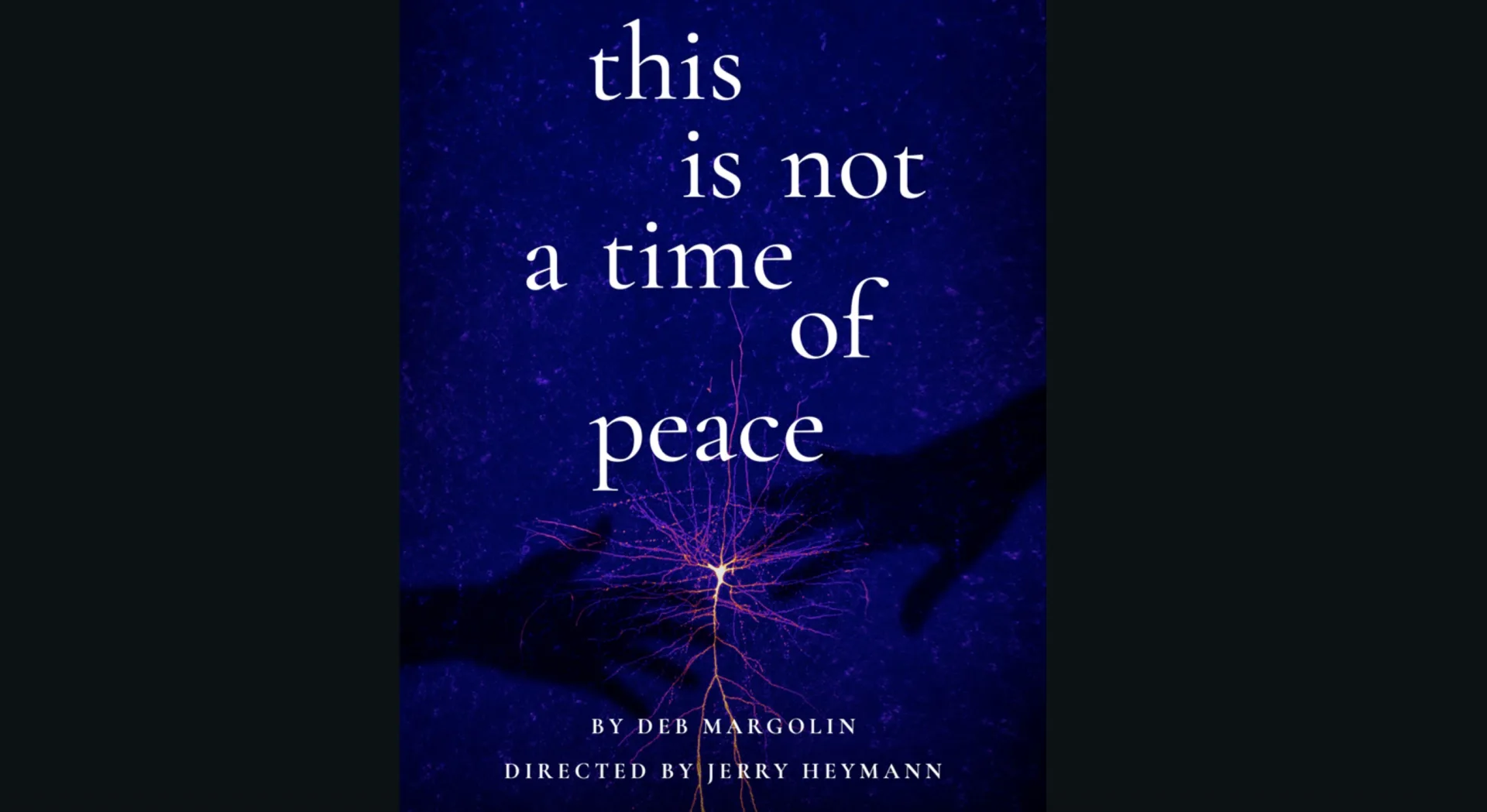 This is Not a Time of Peace by Deb Margolin at Theatre Row, NYC. Courtesy New Light Theater Project Spotlight Series
