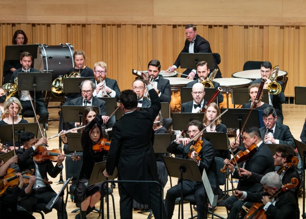 A section of the Park Avenue Chamber Symphony on stage. Photo by Matt Dine