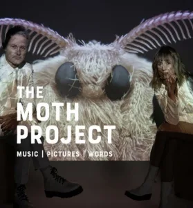 The Moth Project. Courtesy mothprojectlive.com