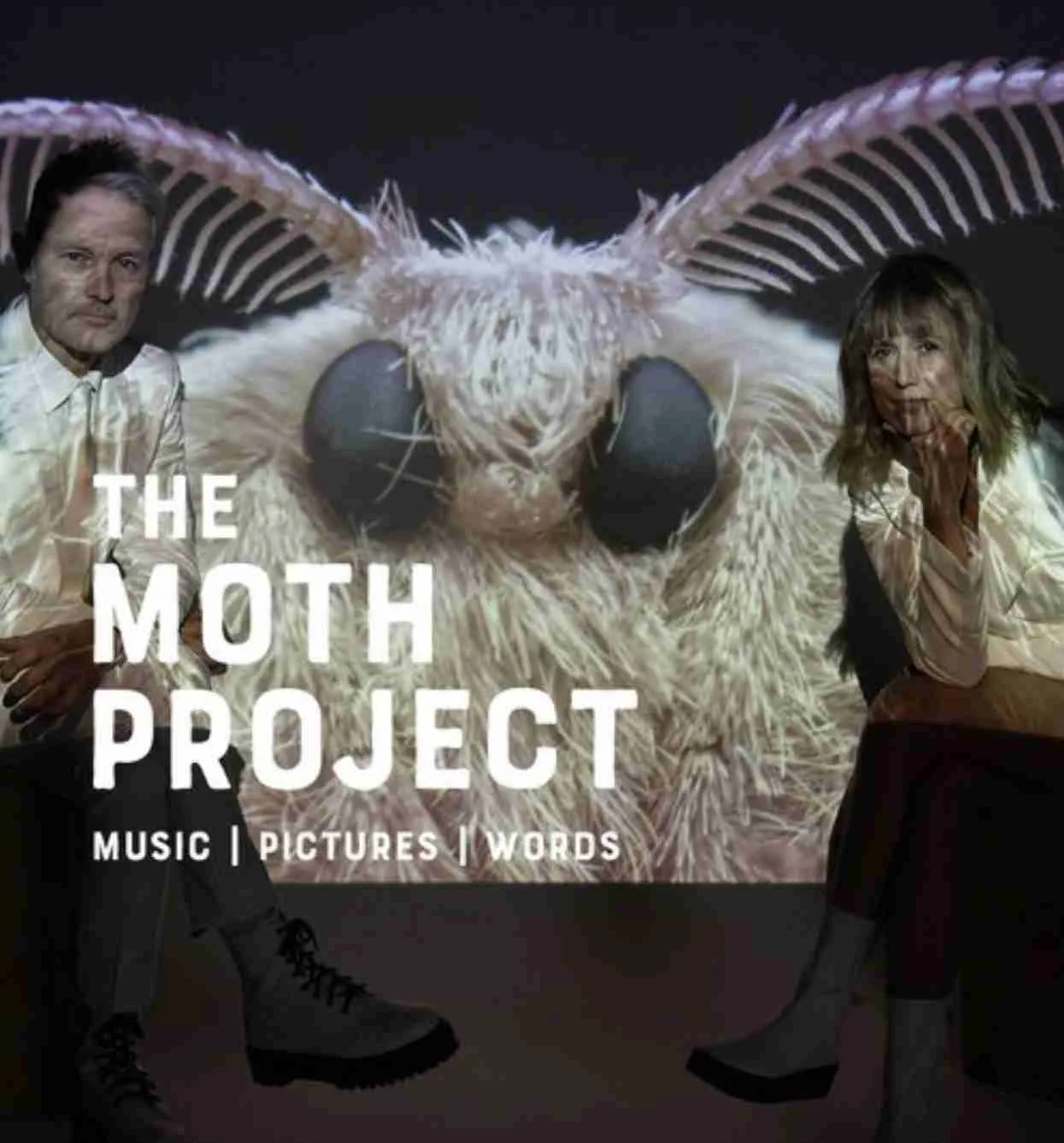 The Moth Project. Courtesy mothprojectlive.com