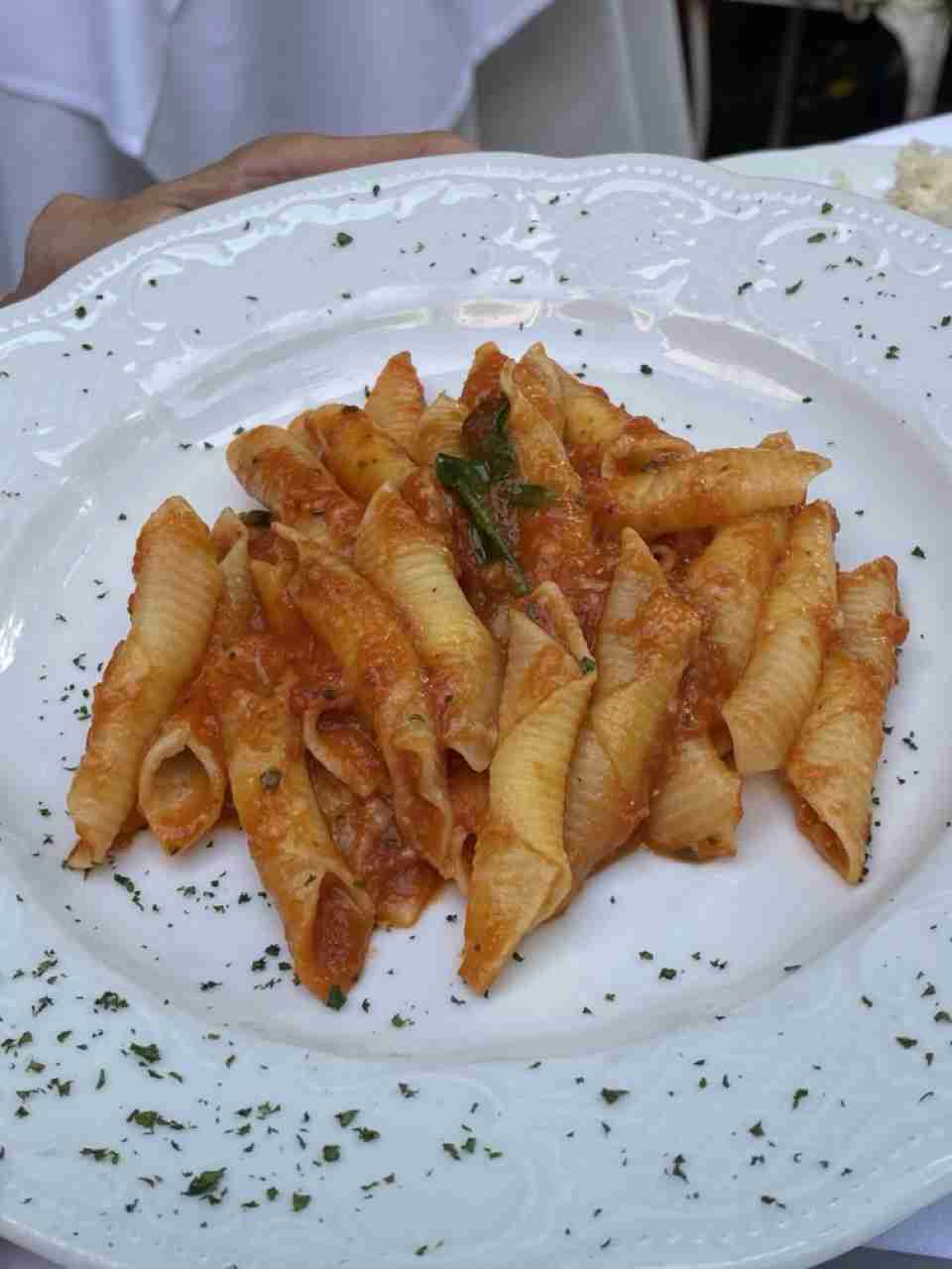Garganelli Pasta at Barbetta Restaurant: Northern Italian Cuisine in Restaurant Row. Photo by Valèrie Blanchard