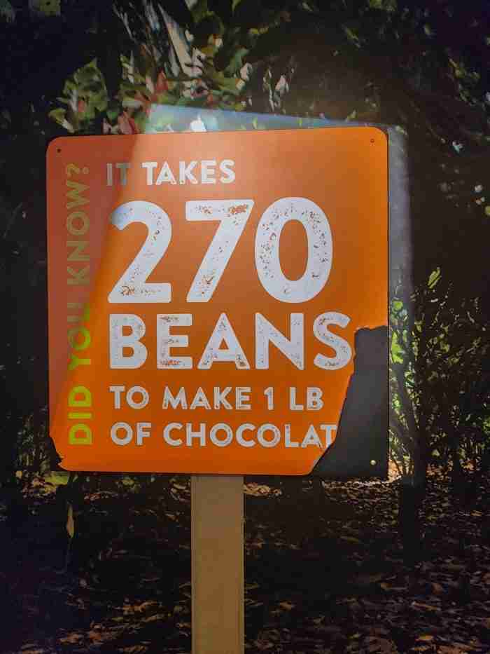 Chocolate Trivia in the Hershey's Chocolate Tour. Photo by Sora Vernikoff