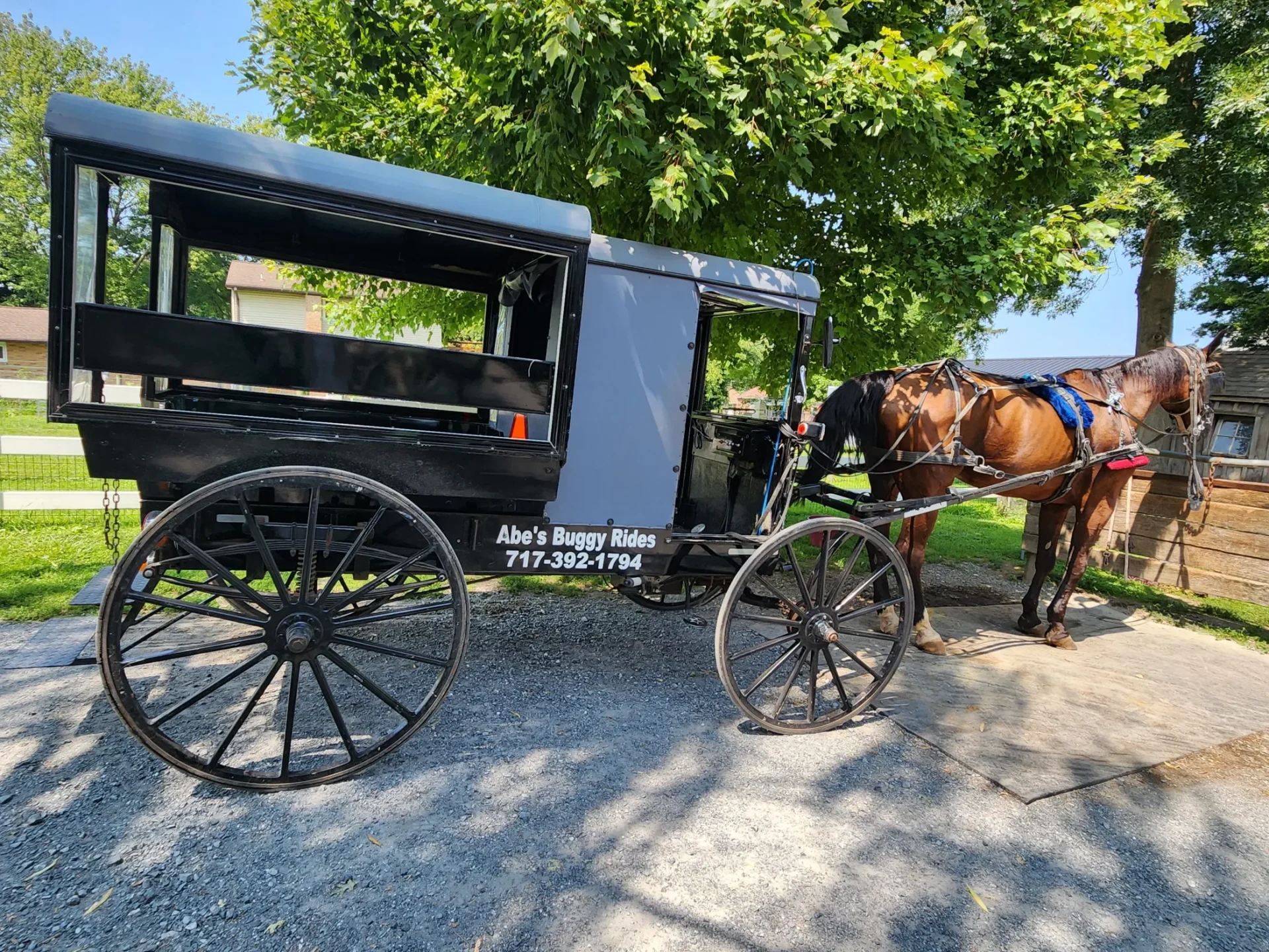 A horse-drawn Buggy at Abe's Buggy Rides in Bird In Hand, PA. Photo by Sora Vernikoff