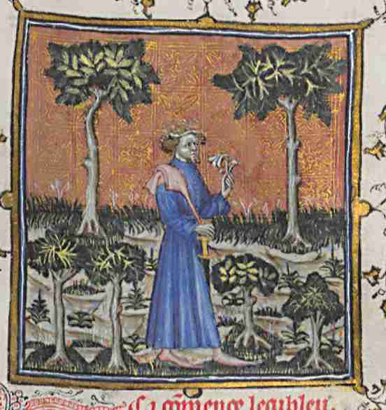 The Cure of Fortune - Guillaume de Machaut walking (c1380-1395). manuscript under author supervision, Public domain, via Wikimedia Commons