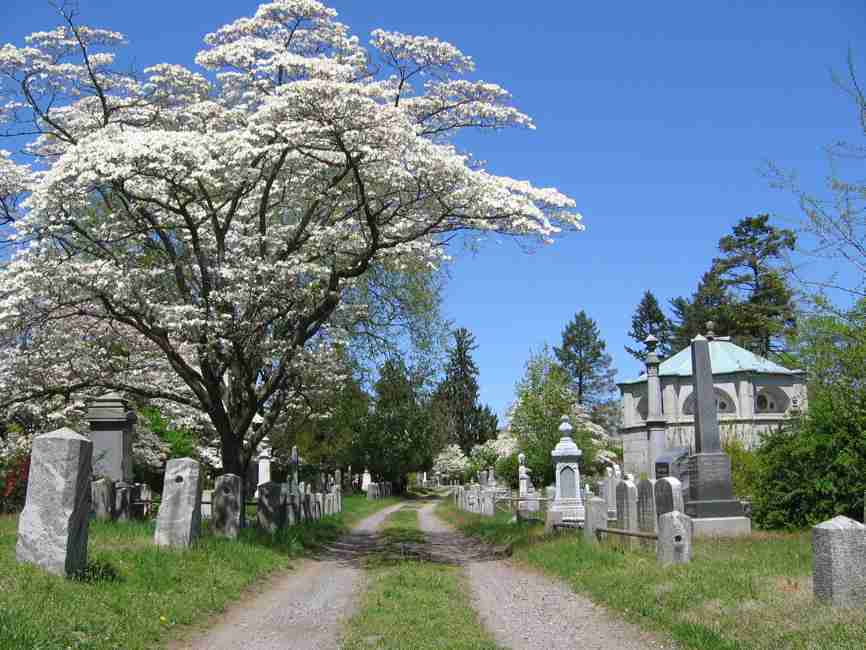 Sleepy Hollow Cemetery SHC at wts wikivoyage, CC BY-SA 2.5 <https://creativecommons.org/licenses/by-sa/2.5>, via Wikimedia Commons