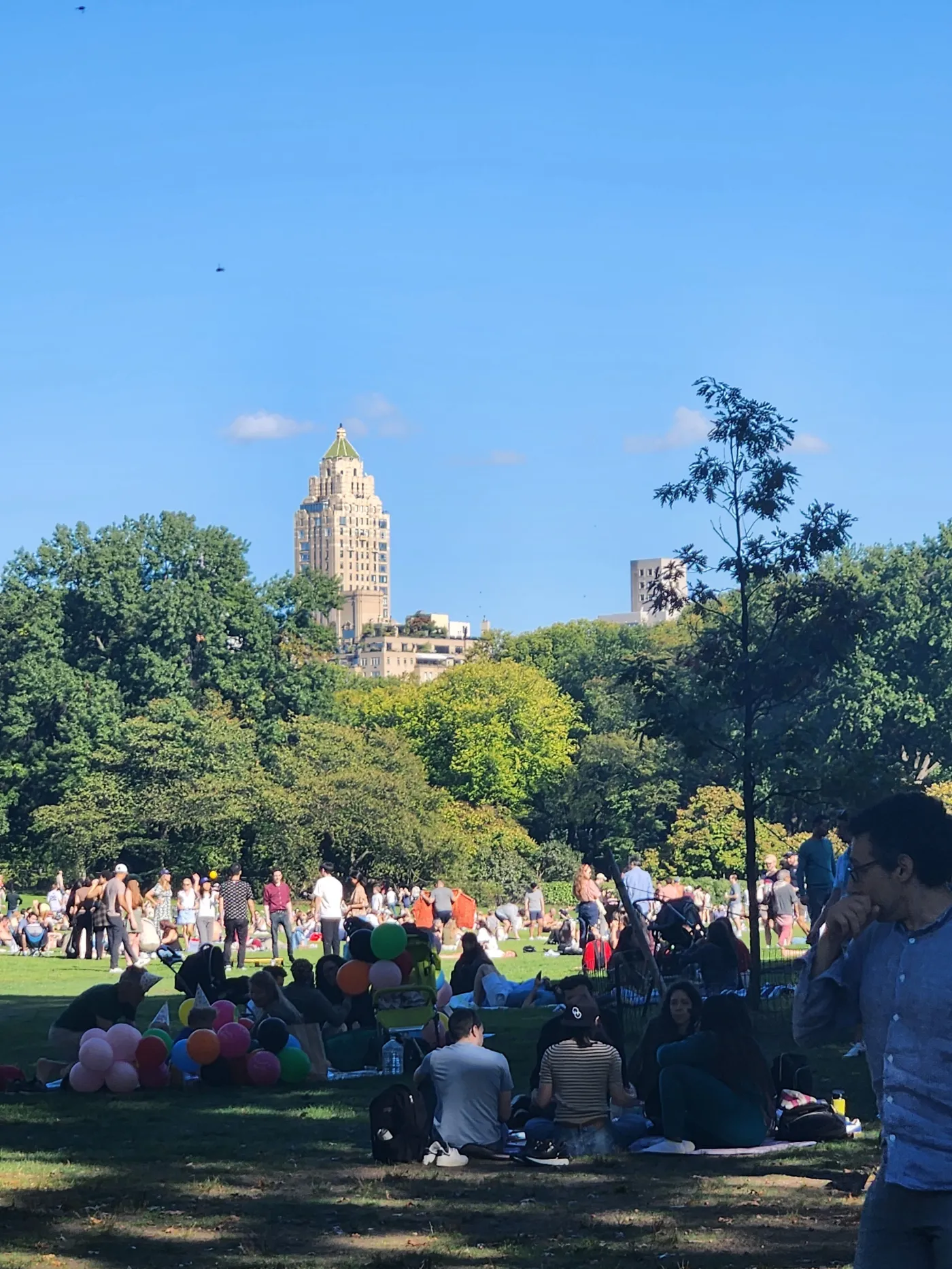 Visitors enjoying the Great Lawn of New York's Central Park. Photo by Sora Vernikoff