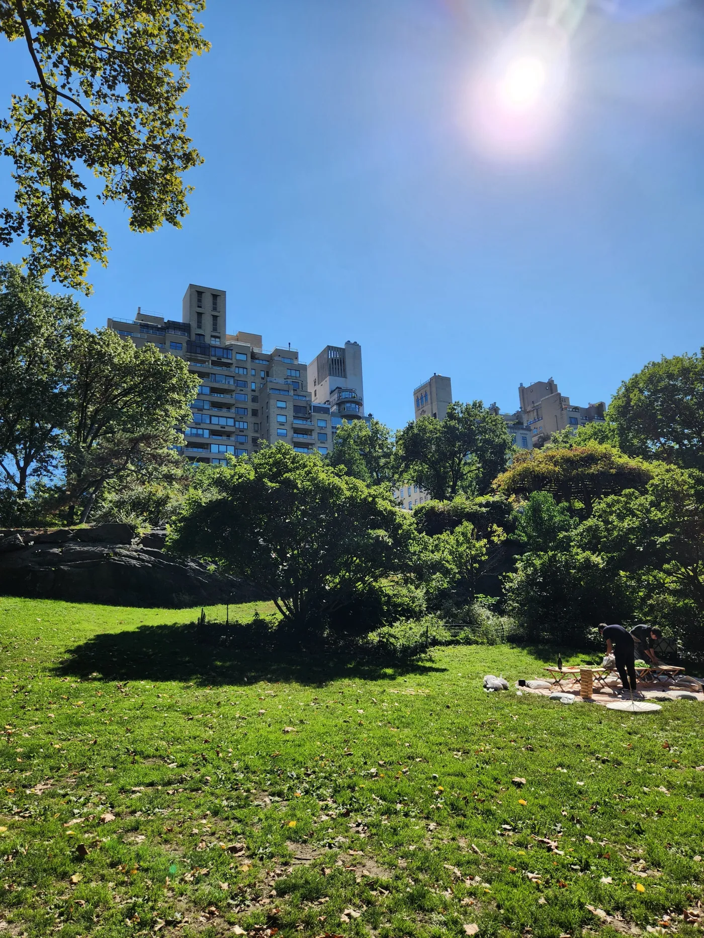 A scene of Picnickers enjoying New York's Central Park. Photo by Sora Vernikoff
