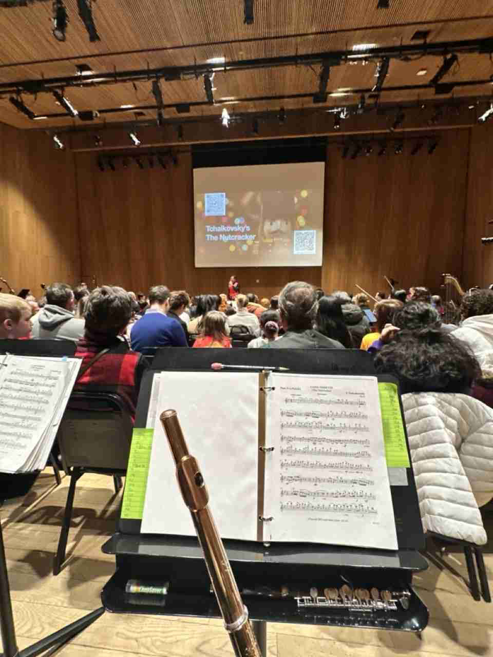 A view from the woodwind section. Photo courtesy PACS