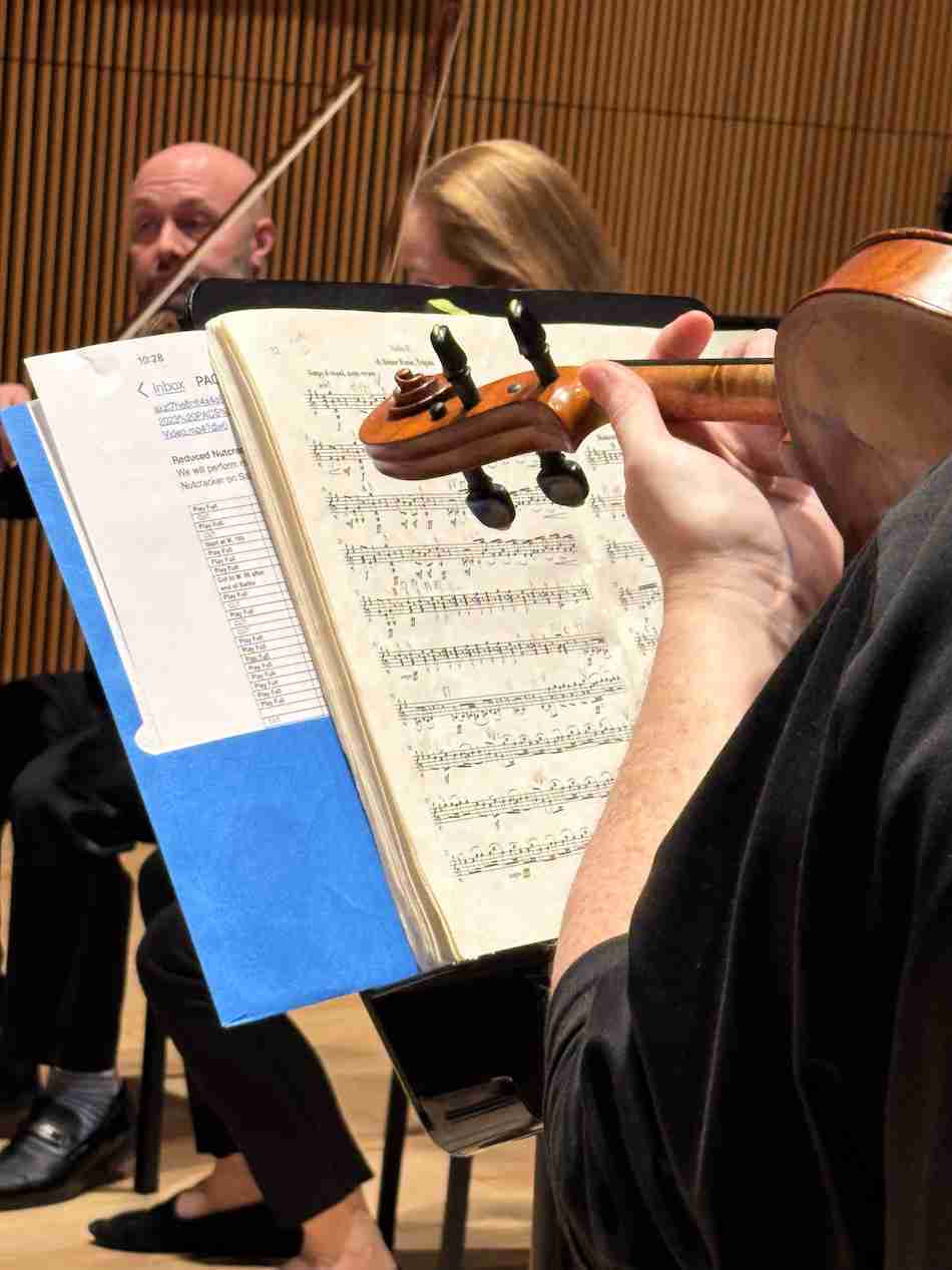 An audience member's view over the shoulder of a neighboring violinist. Photo by Edward Kliszus