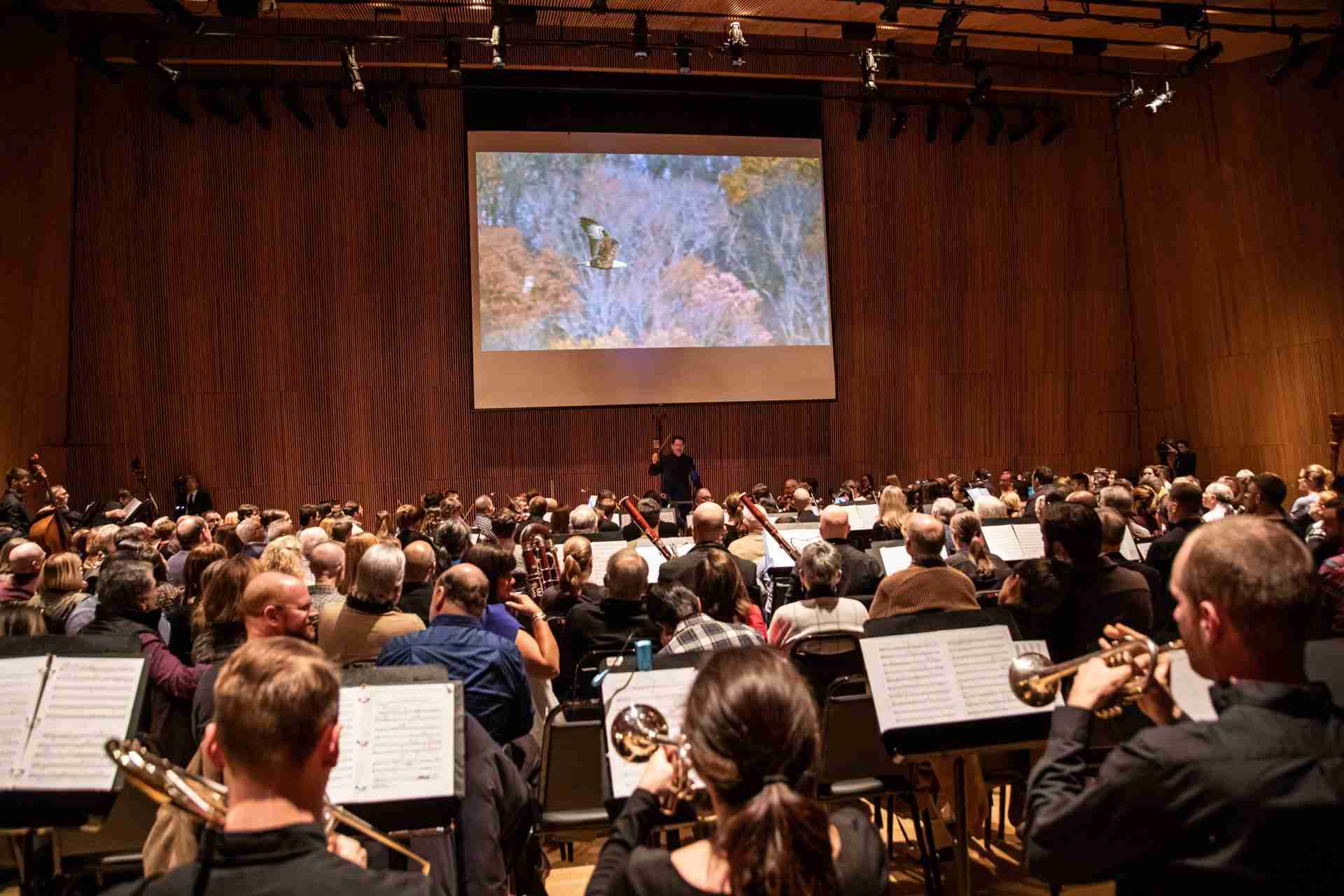 2019 - David Bernard and the Park Avenue Chamber Symphony present "Sounds of America" as they perform Aaron Copland's "Appalachian Spring" at the DiMenna Center for Classical Music in New York City. Courtesy Park Avenue Chamber Symphony