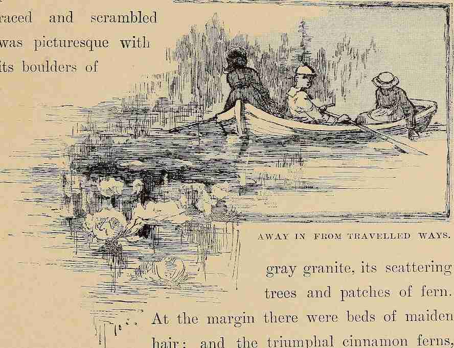 Wildflowers and where they grow (1882) from Maurice Sendak's 'Where the Wild Things Are.'. Internet Archive Book Images, No restrictions, via Wikimedia Commons