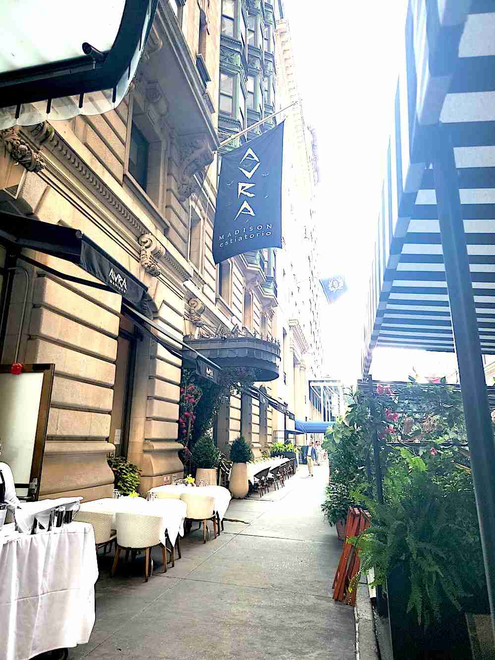 An outdoor view of Avra Madison. Photo by Sora Vernikoff