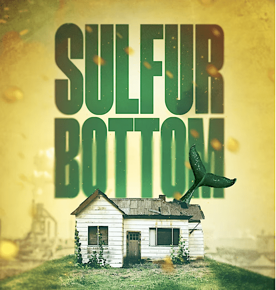 Sulfur Bottom at the Jerry Orbach Theater. Courtesy sulfurbottom.com