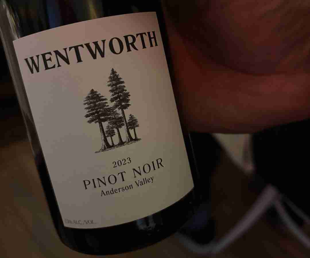 Pinot Noir at The Morris Proper. Photo by Victoria L. Dammer