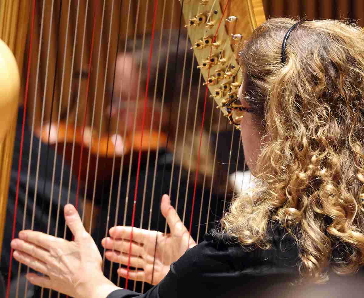 A view of the Harp with David Bernard and The Park Avenue Chamber Symphony presenting Spellbinding Strauss at the DiMenna Center for Classical Music, NYC. Photo by Adam Bundy